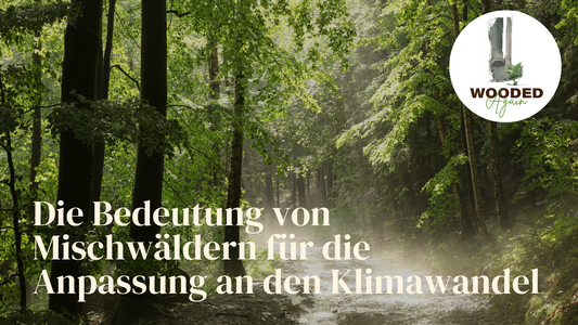 WOODED Again 🌱🌳❤️  - Die Bedeutung von Mischwäldern für die Anpassung an den Klimawandel