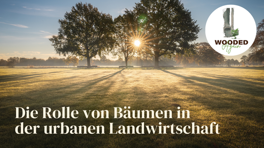 WOODED Again 🌱🌳❤️  - Die Rolle von Bäumen in der urbanen Landwirtschaft