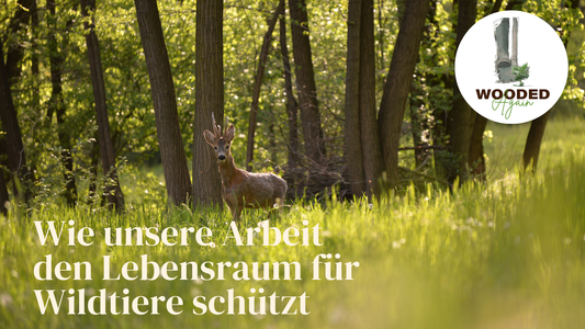 WOODED Again 🌱🌳❤️  - Schutz und Schaffung von Lebensräumen für Wildtiere durch Aufforstung