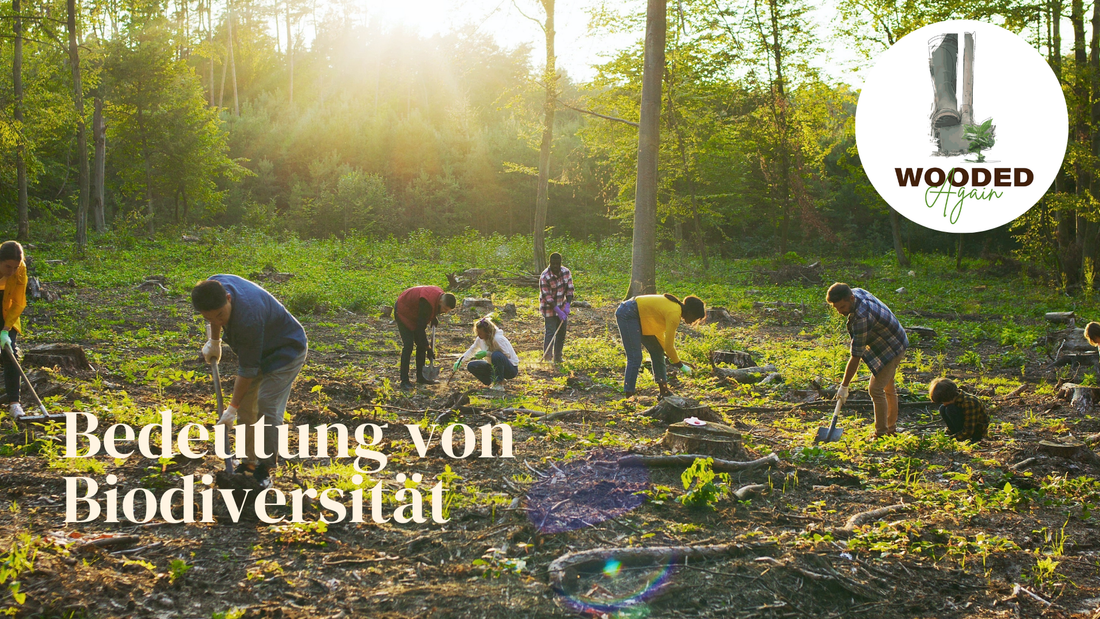 WOODED Again🌱🌳❤️ Bedeutung von Biodiversität 🌈🌿