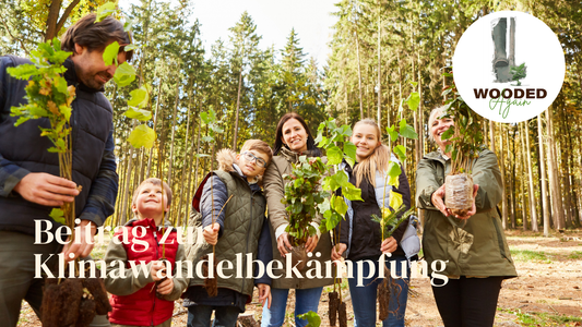 WOODED Again 🌱🌳❤️  - Beitrag zur Klimawandelbekämpfung